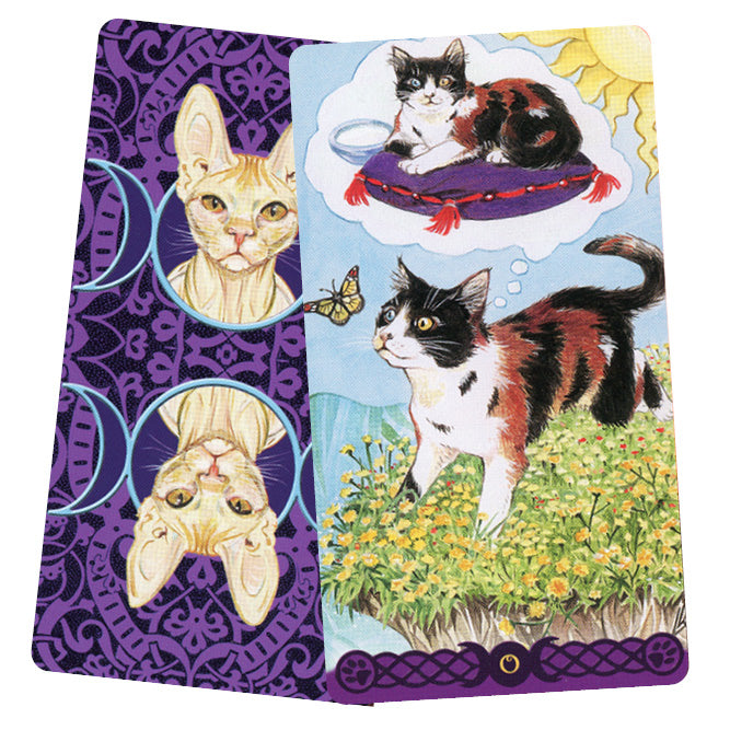 Pagan Cats Tarot